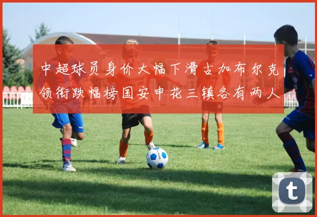 中超球员身价大幅下滑古加布尔克领衔跌幅榜国安申花三镇各有两人上榜