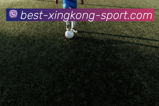 外媒报道加斯佩里尼看好齐尔克泽加盟适合战术需求